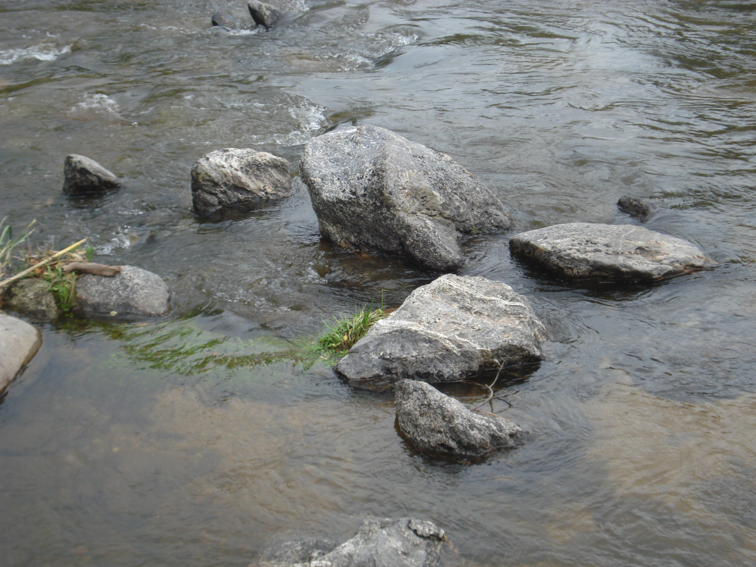 fotos/2011 - Los Reartes/DSC00558.JPG